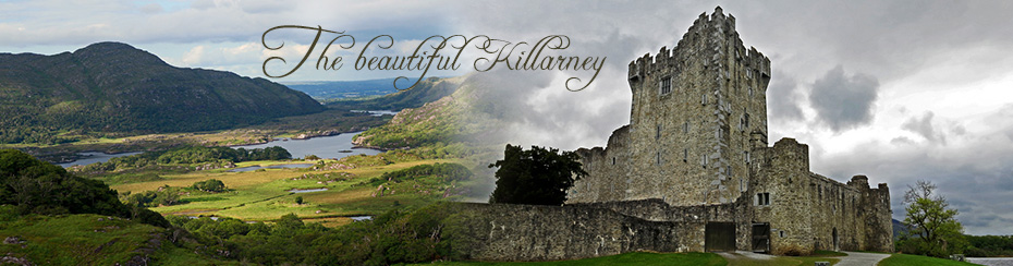 Banner pagina curso familias killarney